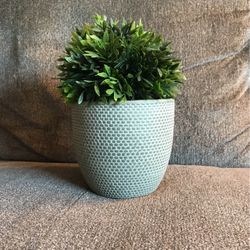 Artificial Plant-8 1/2” Tall