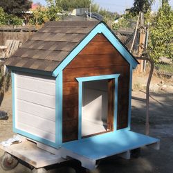 Dog House 