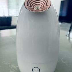 Facial Steamer