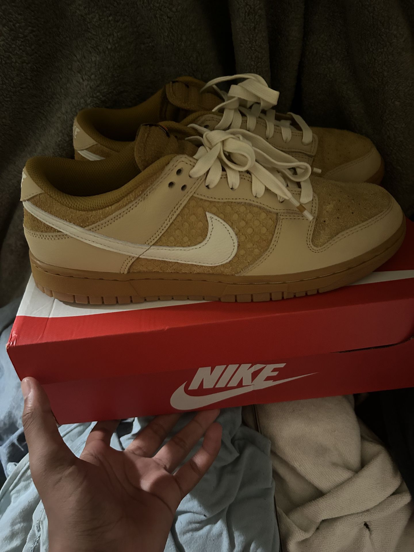 Nike Dunk ( Waffle) Wore 2
