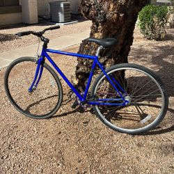 Bicycle—Single Speed 