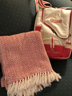 Party Bag, Padded Bag, Concerts, Beach,Picnics