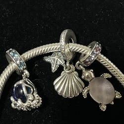 Pandora Necklace With 3 Charms !!