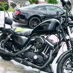 2017 Harley davidson 883 IRON