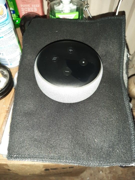 Amazon Echo $15