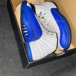 blueberry Jordan 12