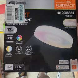 Smart flushmount light  and  bluetooth speaker