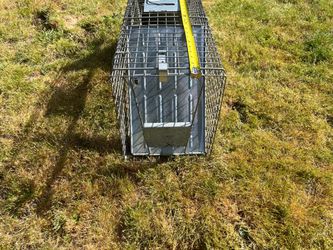 Animal trap:  double opening