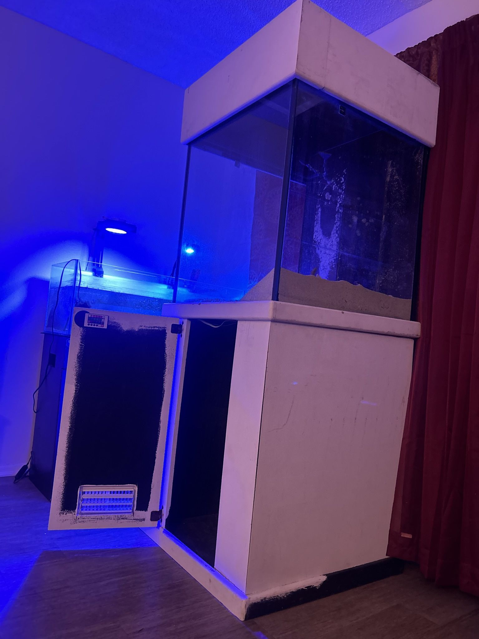 100 Gal Fish Tank