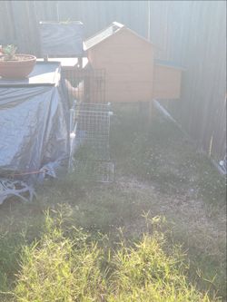 Chicken 🐔 coop, fence etc.