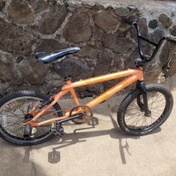 20” Schwinn BMX Bike 