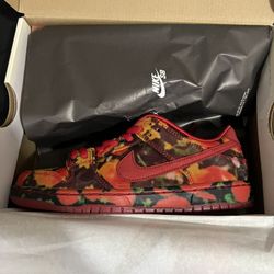 Brand New Nike Dunk Low Sb Wizard Of Oz 3y