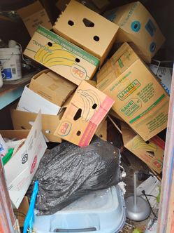 Free Boxes