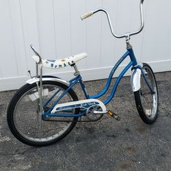Lil chik store schwinn bike