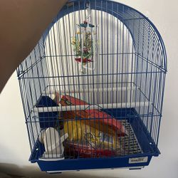 Bird Cage