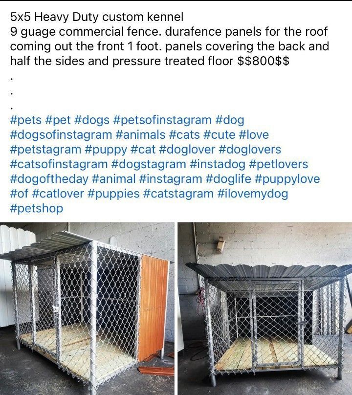 Dog Kennels Florida ๐