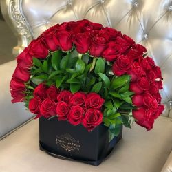 Roses,rosas,flowers