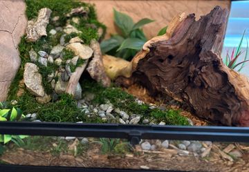 20 Gallon Custom Enclosure