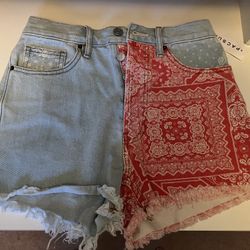 Pac Sun Shorts-NEW