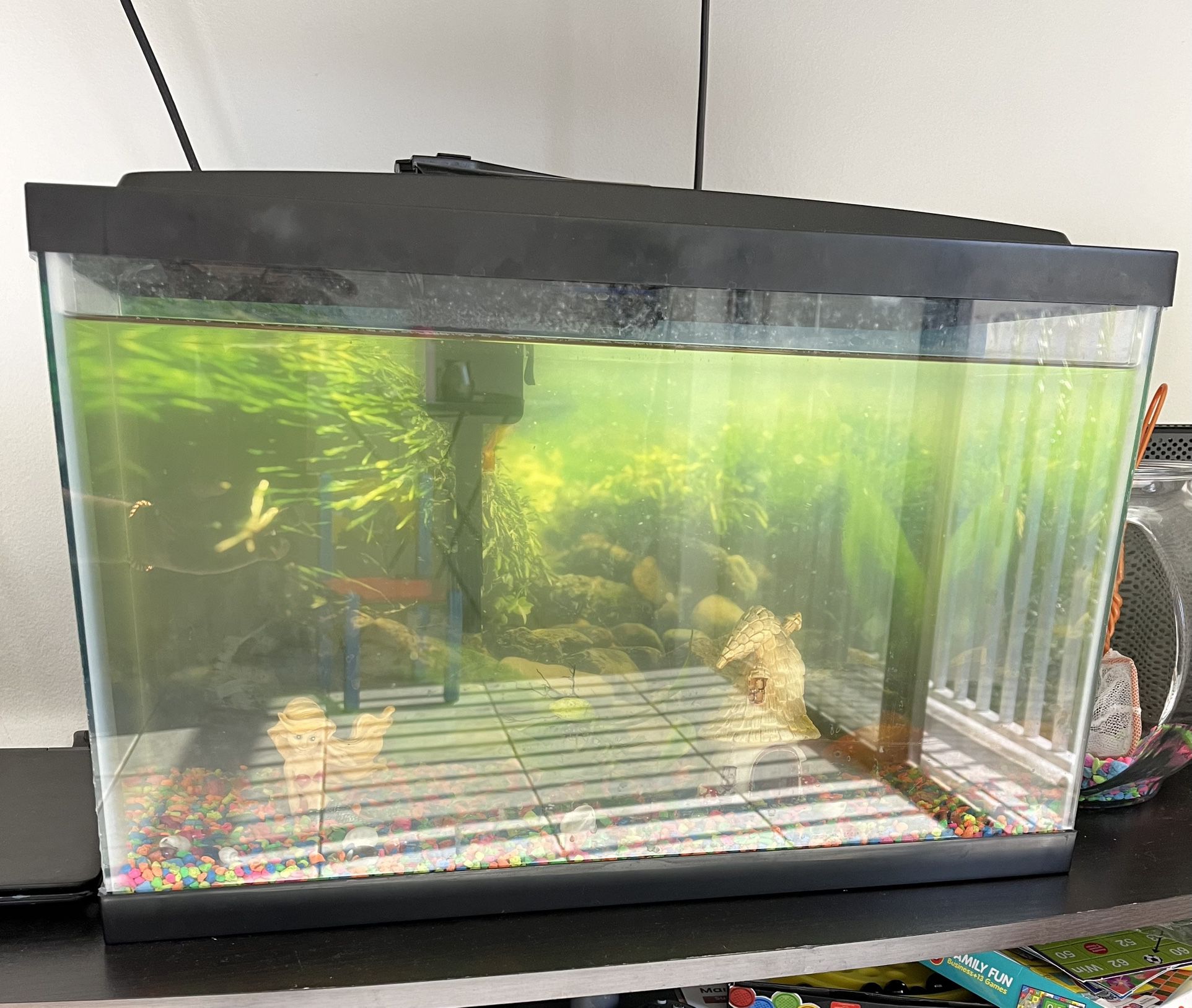 10 Gallon Fish tank with Several Accessories And Fishes