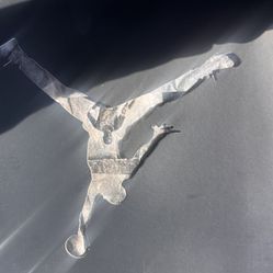 Brand New Air Jordan Retro Flight Club