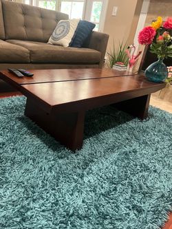 5x7 Turquoise blue/green Shag Rug