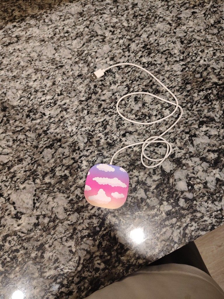 iPhone Charging Pad - Fla Sunset