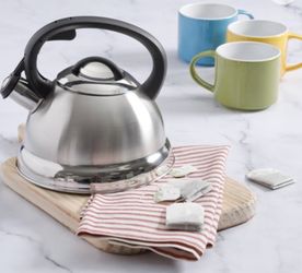 Mr. Coffee Flintshire 1.75 Qt. stainless Steel Whistling Tea Kettle