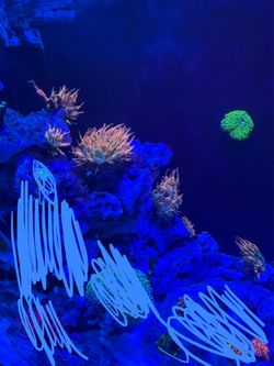 Saltwater tank decor fake