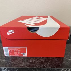 Dunk Low Retro ‘Argon’ (9.5)