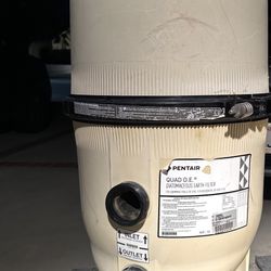 Pentair Quad DE Pool Filter