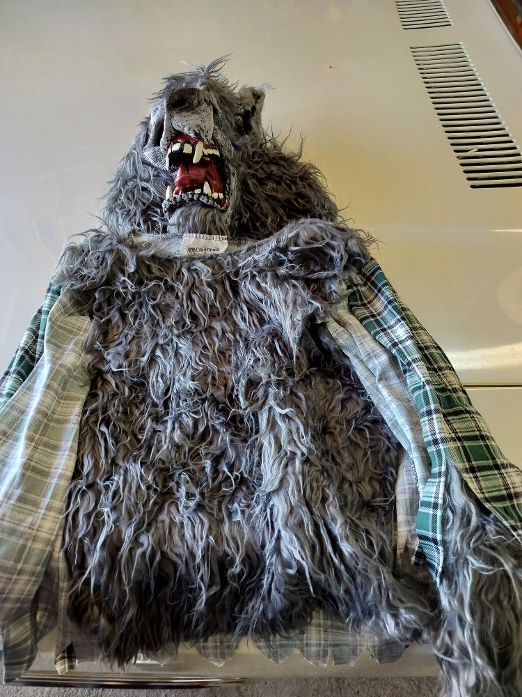 Halloween Costume..