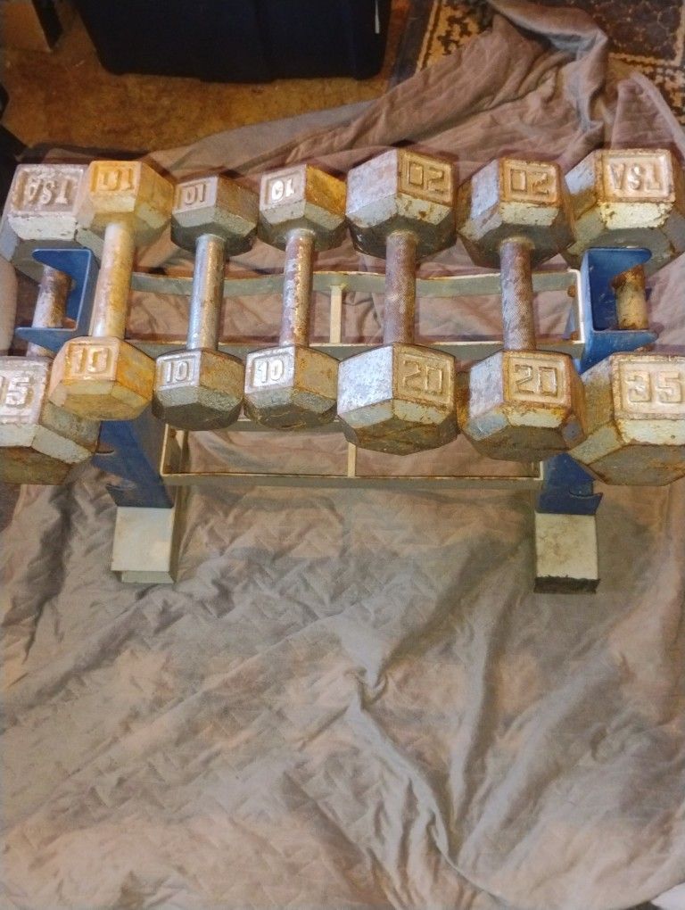 Trade Weights dumbbells gym exercise lifting body builder weight training LBS pounds  