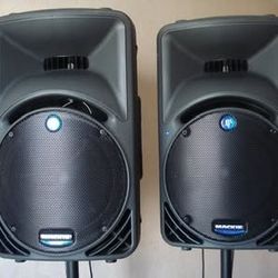 2 Mackie SRM-450 Made In USA First Addition In Mint Condition 