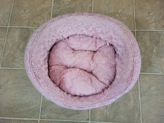 Pet Bed