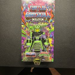 Masters Of The Universe / Turtles Of Grayskull Skeletor