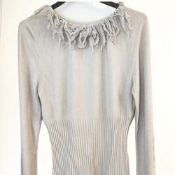 Beautiful light gray Tunic fit top with silver round neck feather accents, long sleeve. Size 4 