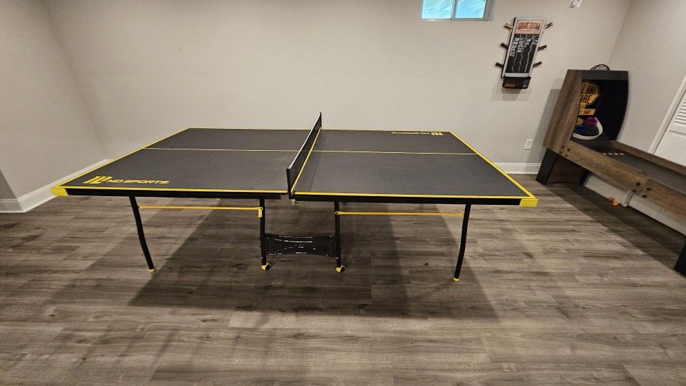 Ping Pong Table