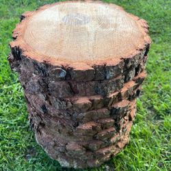 Rustic Pine Wood Slices (Center Pieces)