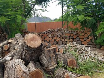 Mesquite,oak and Pecan