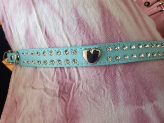 New cat/dog collar medium