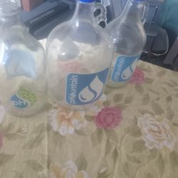 Glass Jugs One Gallon And 2 Half Gallon