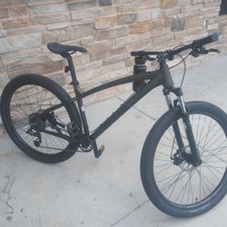 Schwinn 29" 100
