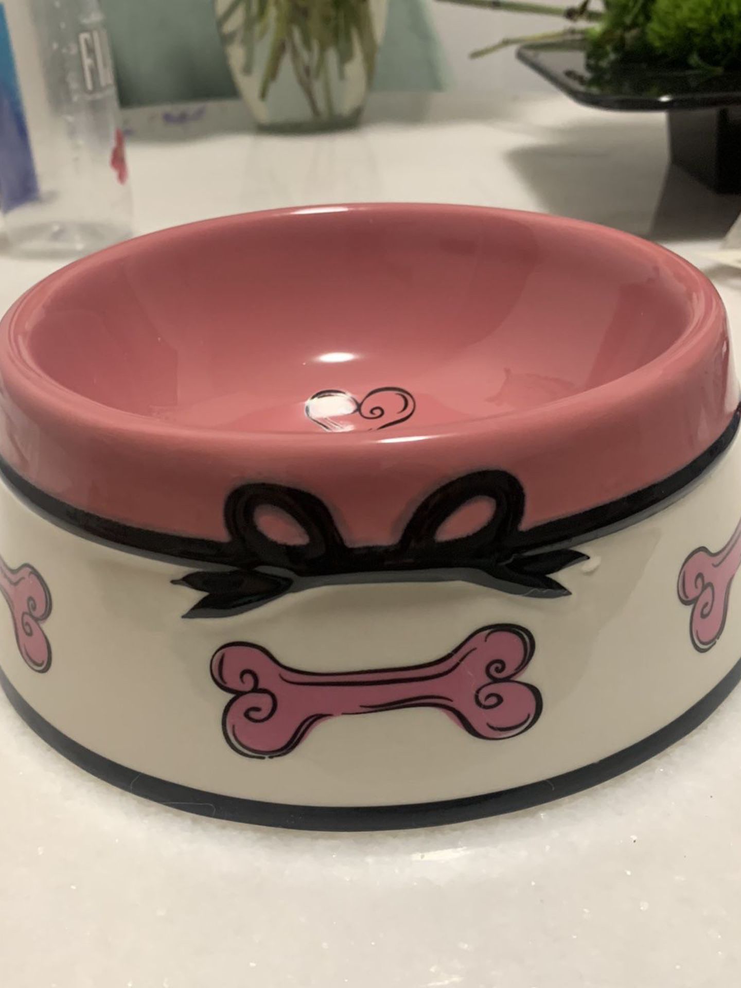 Cute & Sturdy Dog/Cat Bowl