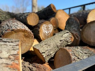 🪵 🍒 Cherry Logs  🍒 🪵 