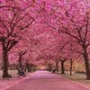 Beautifull