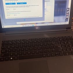 Hp Laptop