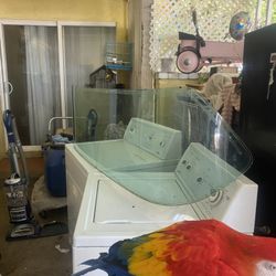 Front Windshield  From A 1969 Chevrolet 