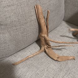 Driftwood 
