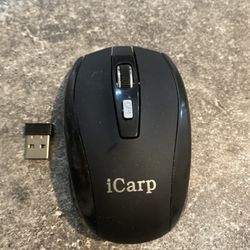 iCarp Wireless Mouse Mobile Optical 2.4G , , Open box.